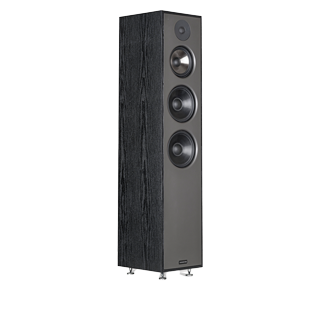 Sonodyne Sonus 3165 Floor Standing Speaker
