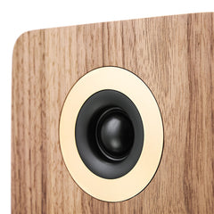 Argon Audio Forte A55 WIFI Active Speakers (Pair)