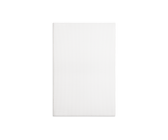 Definitive Technology DW 65 PRO In-Wall Speaker UNIT