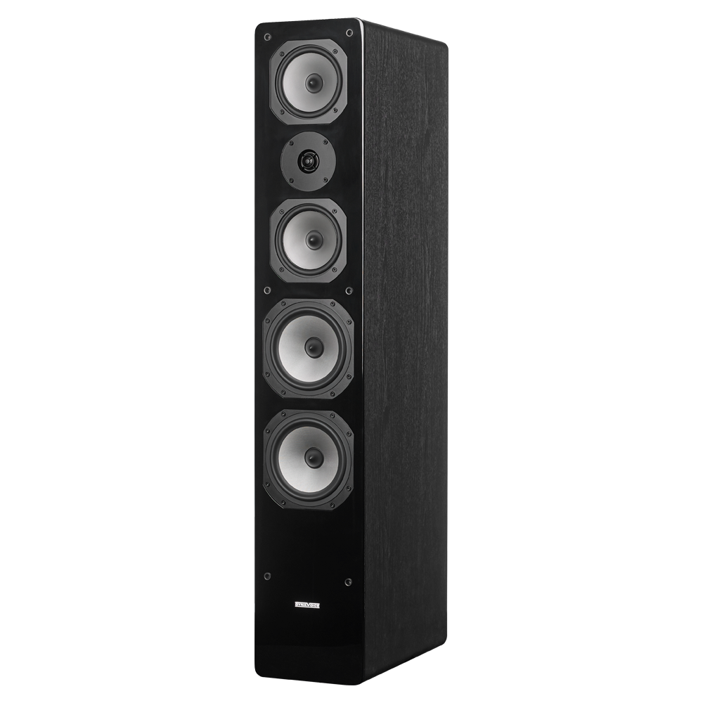 Dynavoice M-65EX Floorstanding Speakers (Black/Oak)