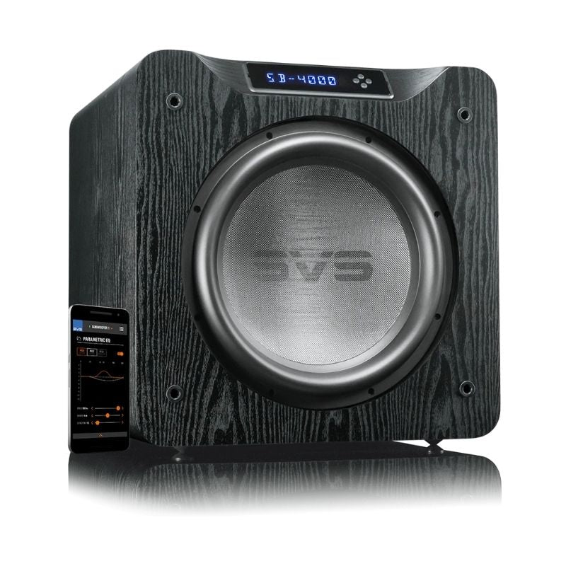 Svs 10 inch sales subwoofer