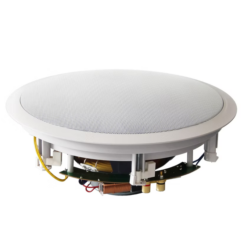 BIC Acoustech H310C