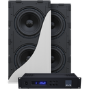 SVS 3000 In-Wall Subwoofer (Dual)