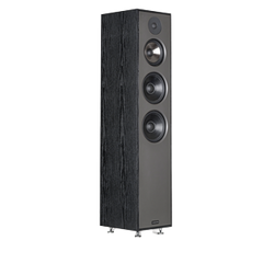 Sonodyne Sonus 3165 Floor Standing Speaker
