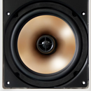 BIC Acoustech HT-8W In-Wall Speaker