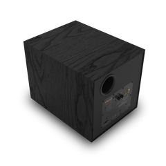 Klipsch R-101SW Subwoofer