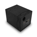 Klipsch R-101SW Subwoofer