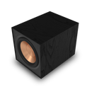 Klipsch R-101SW Subwoofer