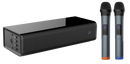 Pure Acoustics SING BAR