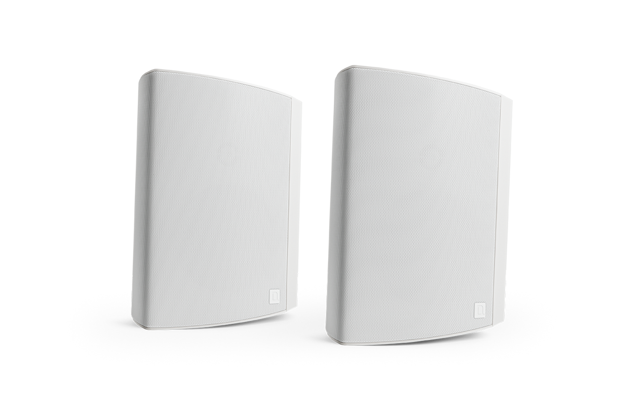 Definitive Technology Dymension Outdoor AW-650 Surface-Mount Outdoor Speaker