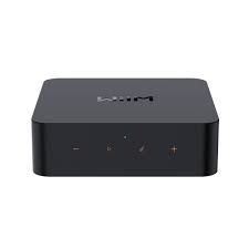 WIIM Pro Networked Steamer
