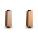 B&O BEOLAB 50 Speakers